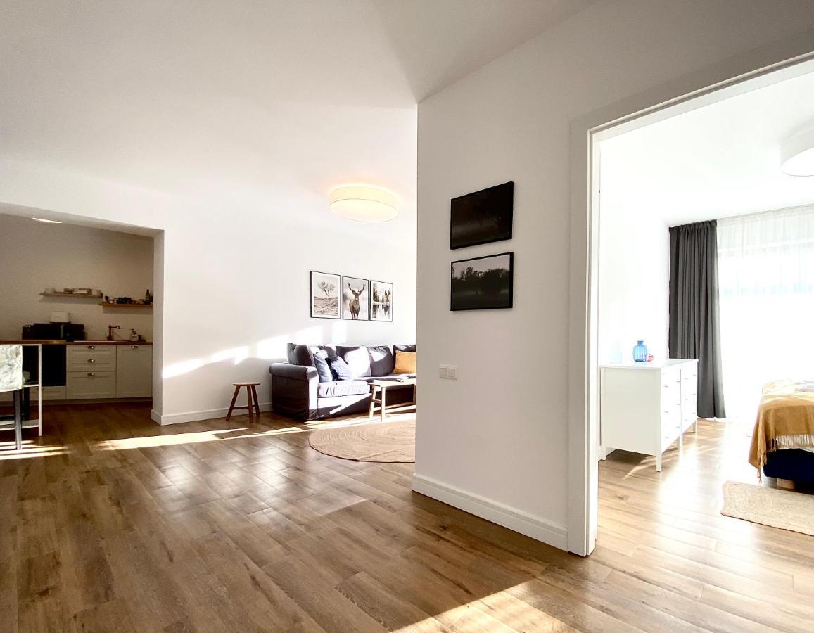 Cosy Hollow - Pet Friendly Brassó Kültér fotó