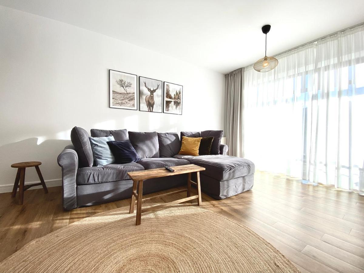 Cosy Hollow - Pet Friendly Brassó Kültér fotó